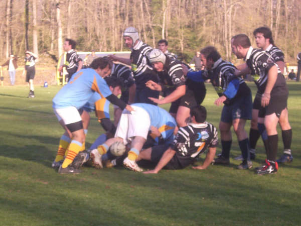 VD. Detall d'un partit del SEL