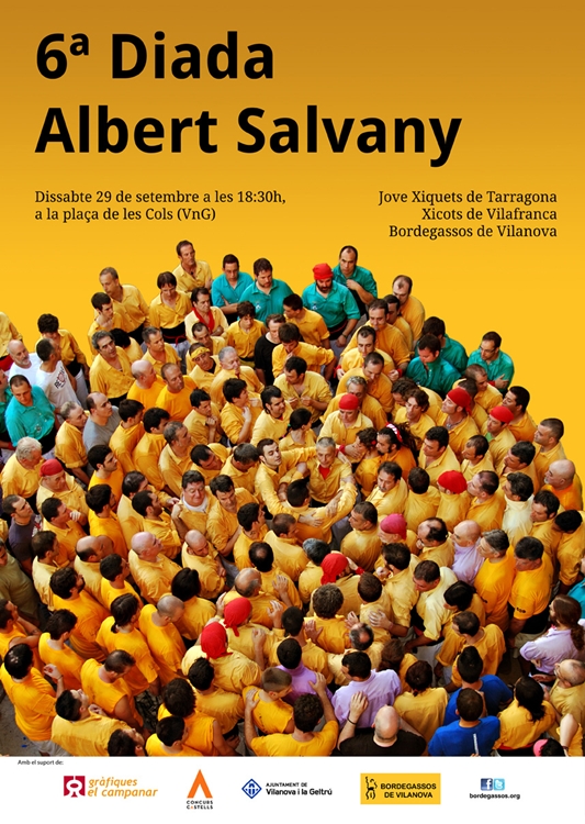 VD. Cartell de la sisena diada Albert Salvany