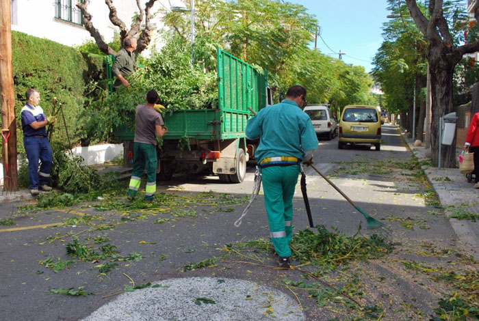 Ajt Sitges. Sitges podarà 4.000 arbres en quatre mesos