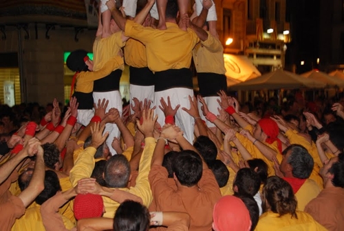 Detall del 4d7 net, amb la pinya voltant sense tocar el castell / M. Gomà