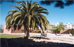 Vista general de l'Escola l'Arjau