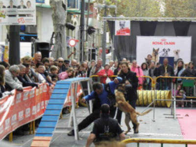  Festa de l'animal. Ajuntament de Vilanova i la Geltrú