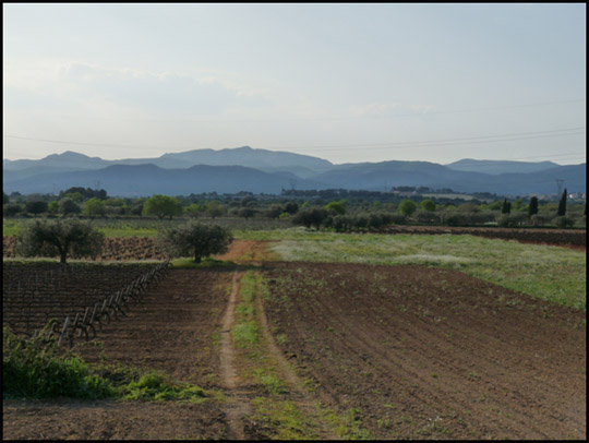 Paisatge amenaçat pel Logis Penedès