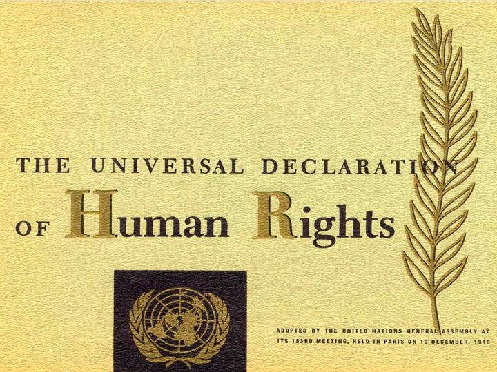 Declaració Universal de Drets Humans