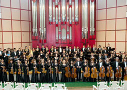 webIMG_strauss