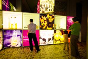 webIMG_Vinseum 12 copyb