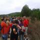 Ribes+camina+contra+el+c%c3%a0ncer