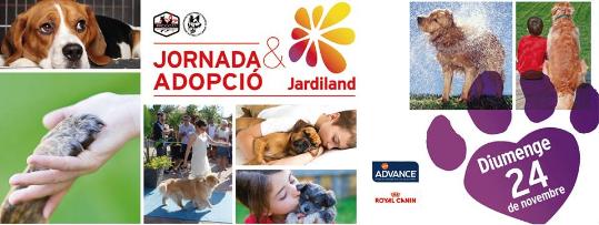 1012912_613564828700170_1227713853_n