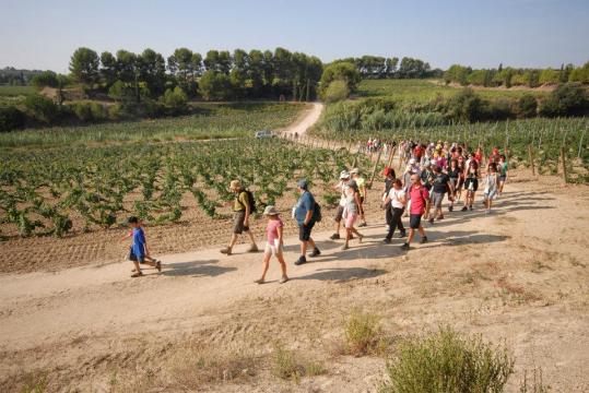 1095024_606838269337625_33088842_n