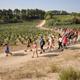 Caminada+per+les+vinyes+de+la+Capital+del+Cava+en+verema
