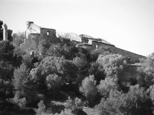 1173829_435644233218249_969483605_n