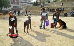 Ajt Sant Sadurní d'Anoia. 2a Festa del Gos