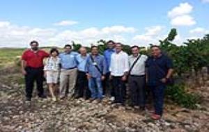 Institut del Cava. 3er viatge de formadors a la Regió del Cava
