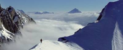 420094_601827109842488_666527859_n