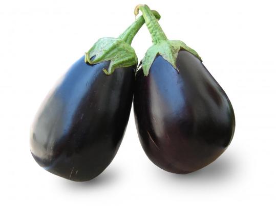 ACPG. Albergínia