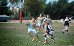 alevins1