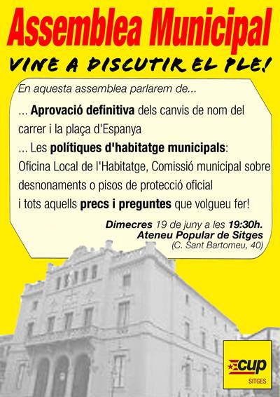 Assemblea Municipal (juny 2013)