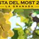 Festa+del+Most+a+La+Granada