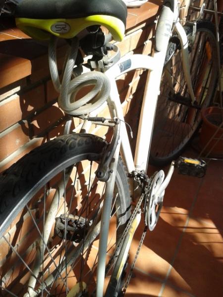 Adrià Gala. Bicicleta