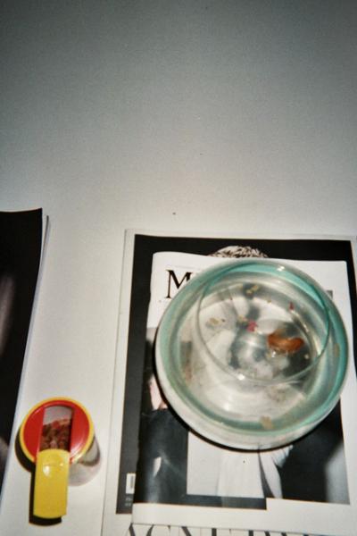 Blanc Bcn. Blanc Bcn