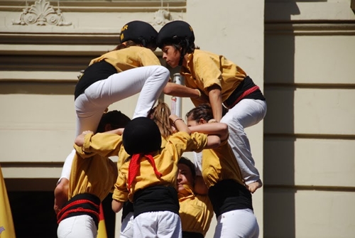 Detall d'un pom de dalt bordegàs, la temporada passada / Maite Gomà