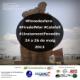 La+1a+trobada+d%27instagramers+del+Pened%c3%a8s%2c+Vins%26Blogs+i+maridatges+gastron%c3%b2mics+promocionaran+la+XII+Fira+del+Mar