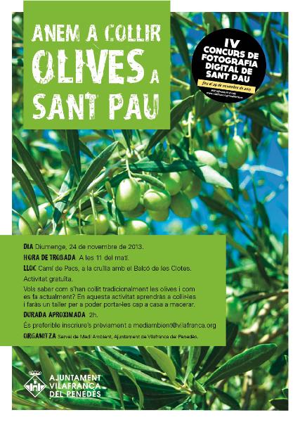 cartell olives 2013