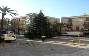 Ajuntament de Vilanova. Col.locació de l'Arbre de Nadal 2013 a la plaça de les Neus de Vilanova i la Geltrú