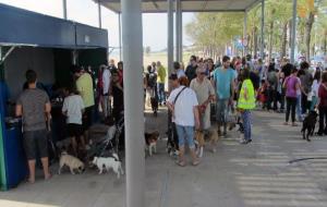 Concentració de gossos a la platja de Vilanova 