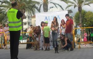 Concentració de gossos a la platja de Vilanova 