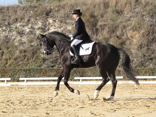 Imatge d'arxiu
