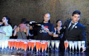 Coronació de la Reina del Cava 2013
