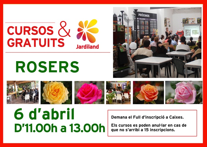 curs-ROSERS per fecebook