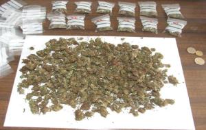 Ajuntament del Vendrell. Detingut un conductor que transportava marihuana preparada per a la venda