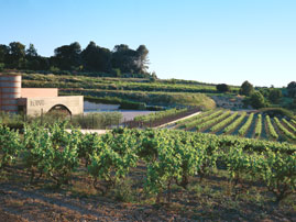 eix-cava-llopart-34239