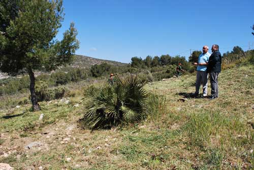 eix-llevantina-35476