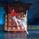 El+Cascanueces%2c+Cia+Ballet+Imperial+Ruso