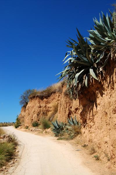 EIX. Fotoactivisme al Garraf