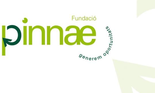 Eix. Fundació Pinnae