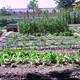 Xerrada+%22Agricultura-ecol%c3%b2gica%22