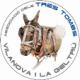 Actes+dels+Tres+Tombs+a+Vilanova+i+la+Geltr%c3%ba