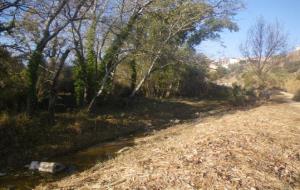 Generalitat de Catalunya. Imatge de l'actuació duta a terme al torrent de Lavernó, a Sant Sadurní d'Anoia