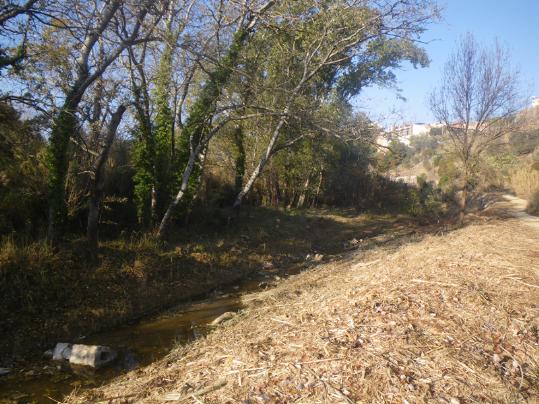 Generalitat de Catalunya. Imatge de l'actuació duta a terme al torrent de Lavernó, a Sant Sadurní d'Anoia