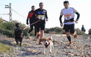 Detall del Canicross