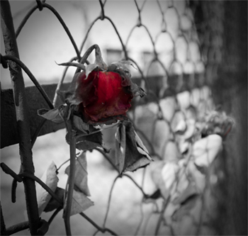 mauthausen1