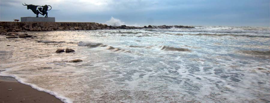 Ones a la platja de Vilanova
