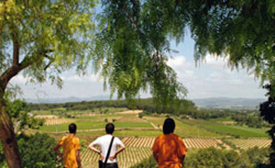 Aigua i vinyes al Foix. Foto: Andoni Canela 