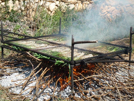 Calçots!