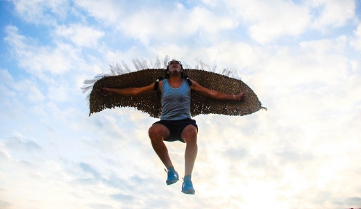 pajaru3_jordi_gesti_web2