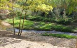 Ajt Sant Sadurní d'Anoia. Parc de les Pubilles de Torrelavit